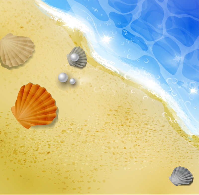 矢量美丽海滩与贝壳插画