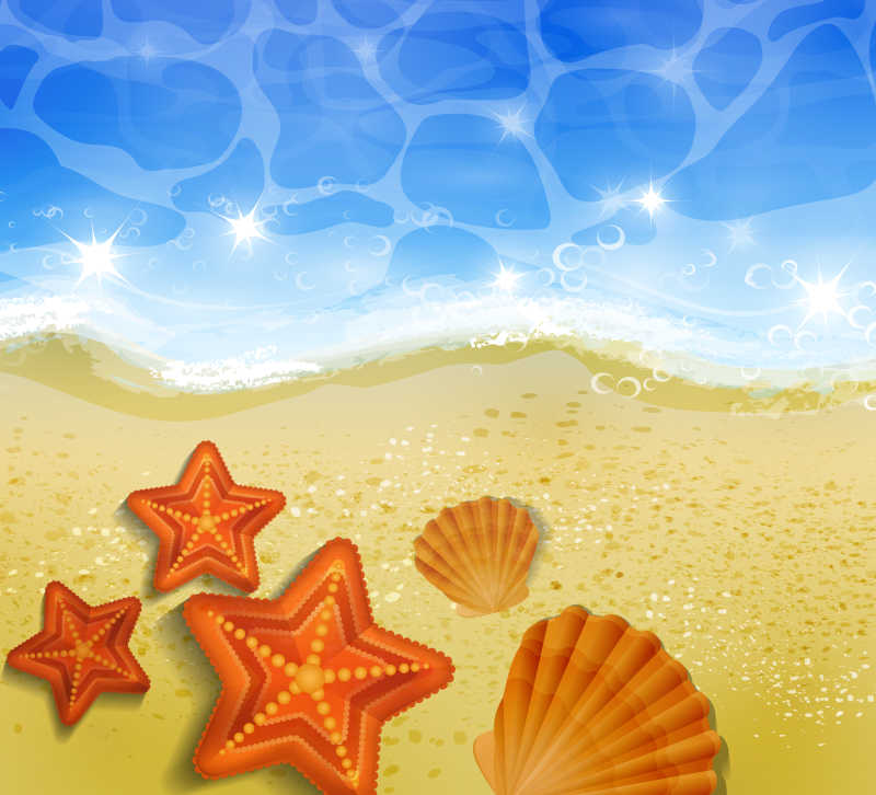 矢量夏季海滩与海星贝壳