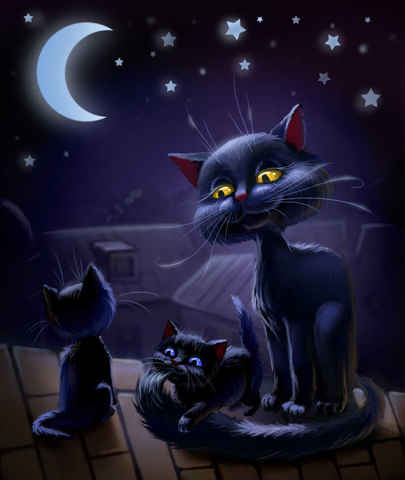月光下可爱的小猫咪