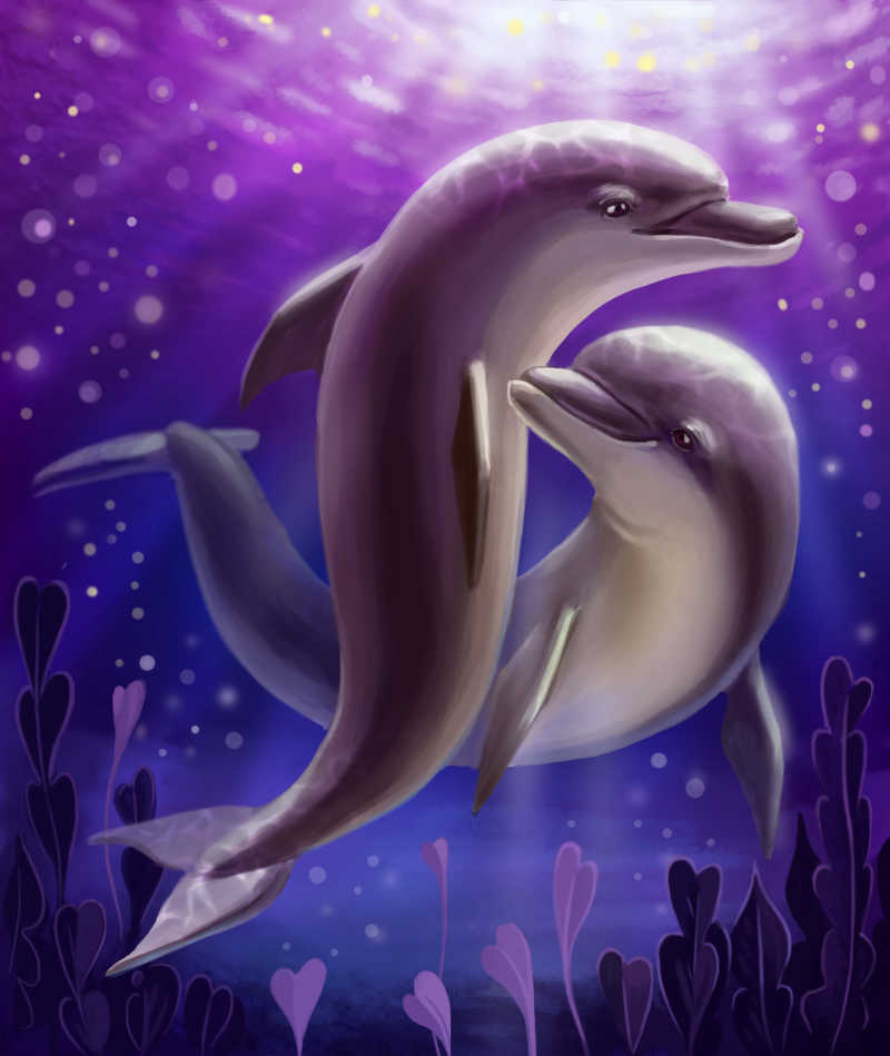 可爱美丽的卡通海豚