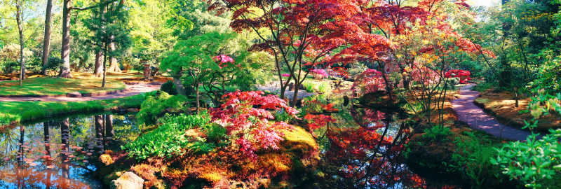 日本公园的自然风景
