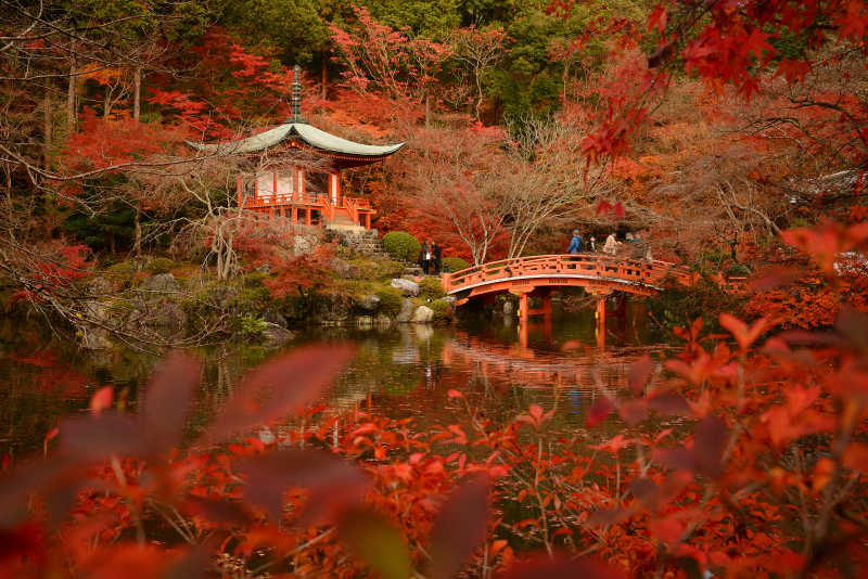 京都傣吉寺秋景中的日本建筑