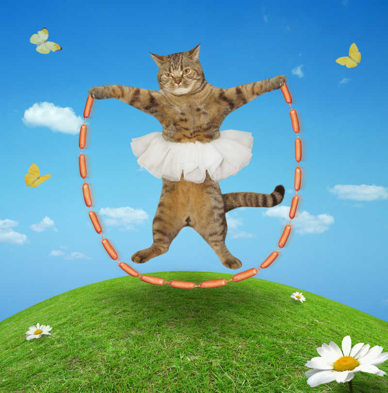 蓝天下草地上拿着香肠跳绳的穿着芭蕾裙的猫
