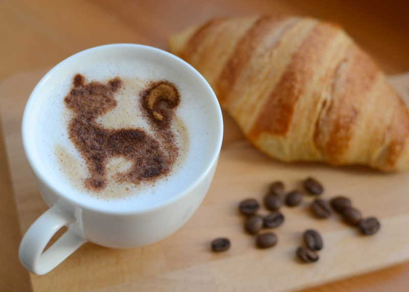 猫状拉花咖啡