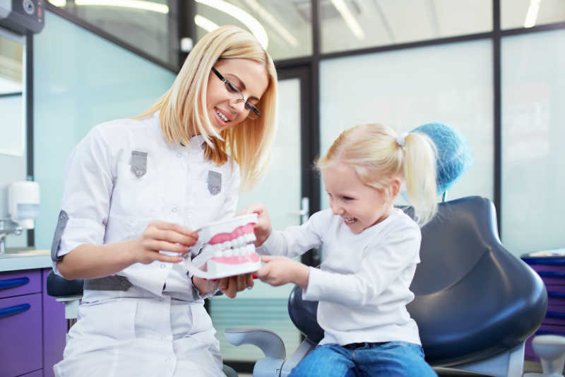 牙医正给小女孩看牙齿模型