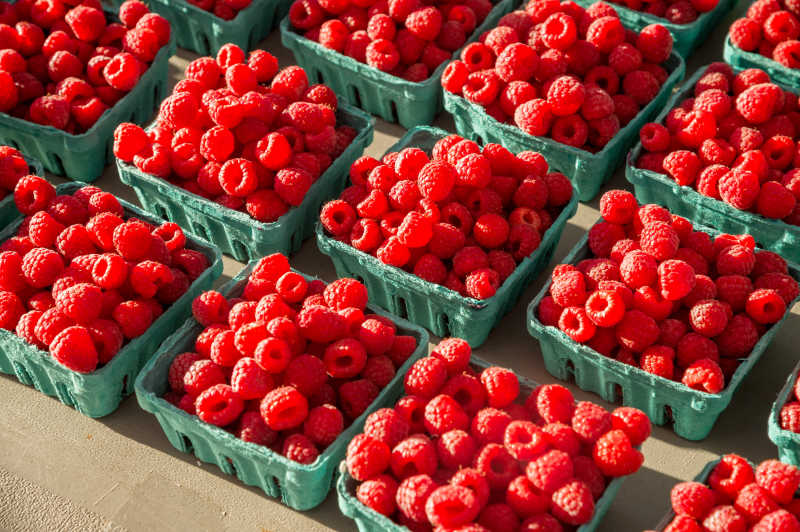 市场上新鲜的树莓在果篮里