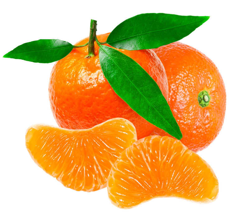 白色背景下的橘子