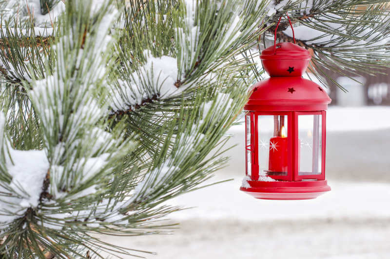 在冬季的雪景里的红灯挂在枞树枝上