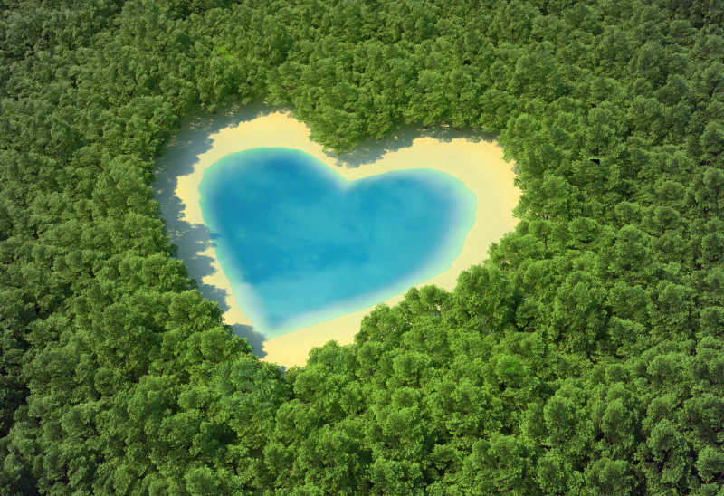 热带森林中的心形池塘