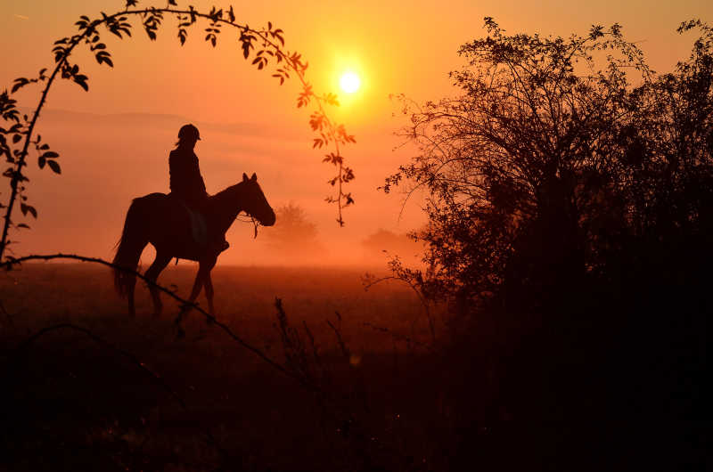 落日下的年轻女孩骑着马
