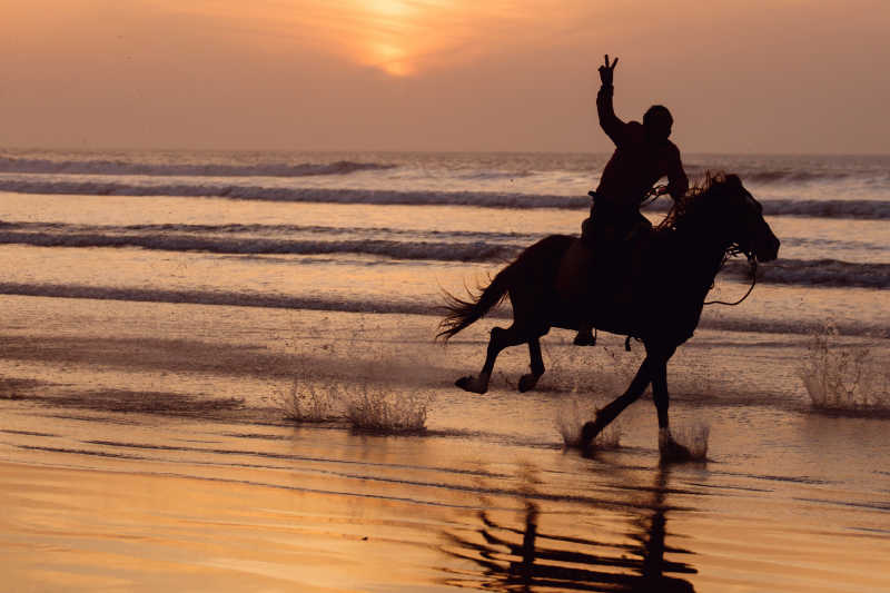 落日下奔跑的马和骑手
