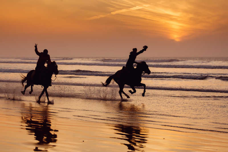 在海滩上奔驰的马和骑手