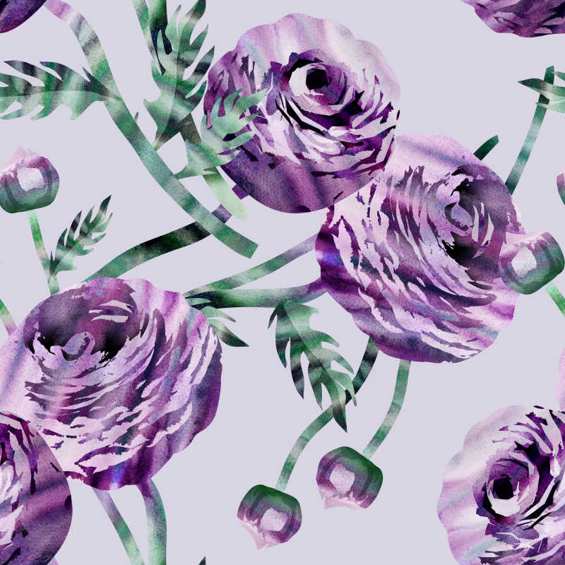 紫色的水彩玫瑰