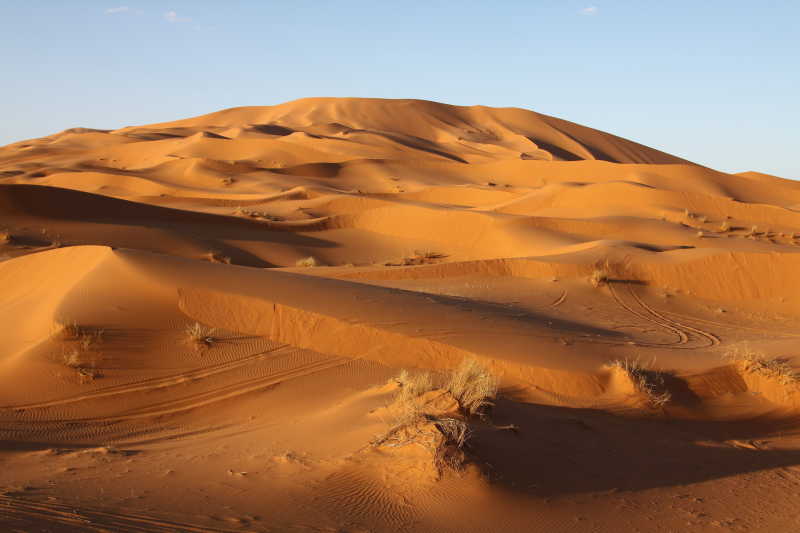 荒芜的沙漠沙丘