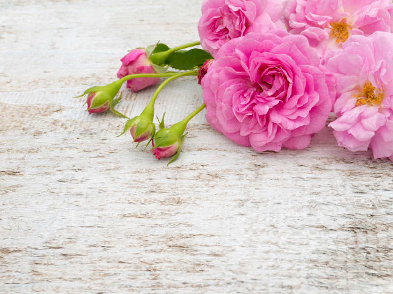 地板上的粉色玫瑰和花朵