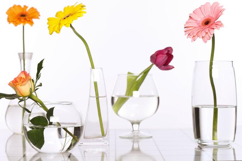 玻璃花瓶里的各种花图片素材 不同的花在不同的花瓶里创意图片素材 Jpg图片格式 Mac天空素材下载