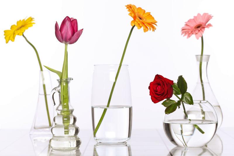 玻璃花瓶中的一只花