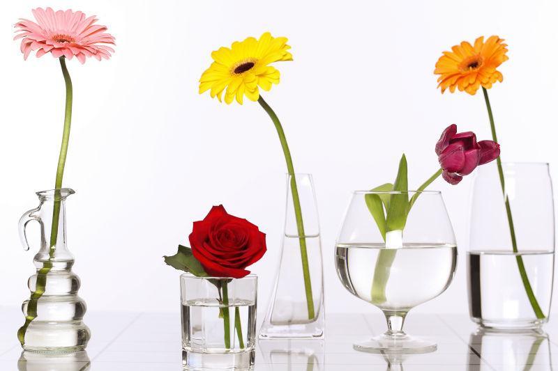 玻璃花瓶中各种花