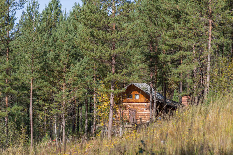 森林边上的小木屋