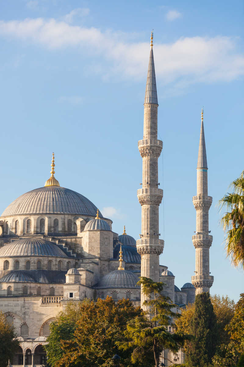 蓝天下壮观的清真寺