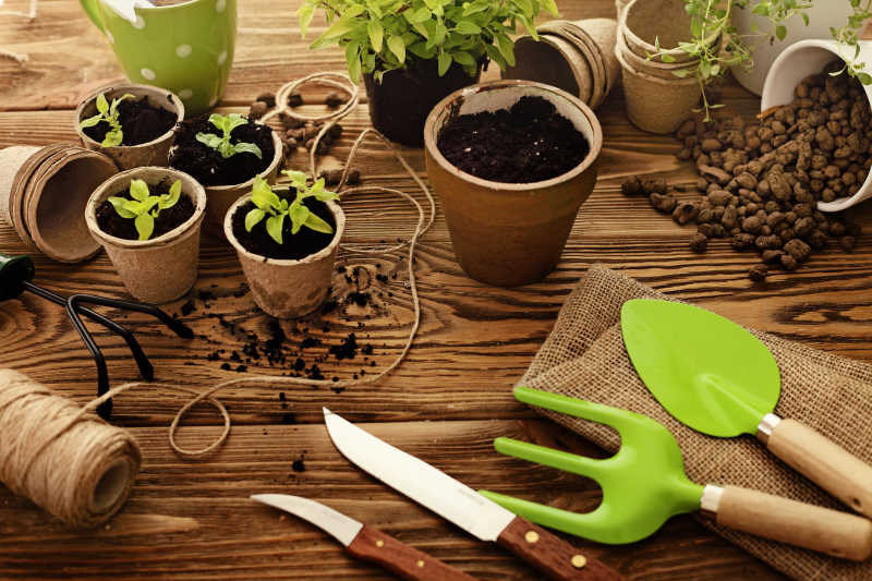 木桌上的园艺工具和各种盆栽