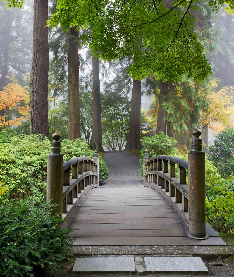 秋天的日本花园木桥