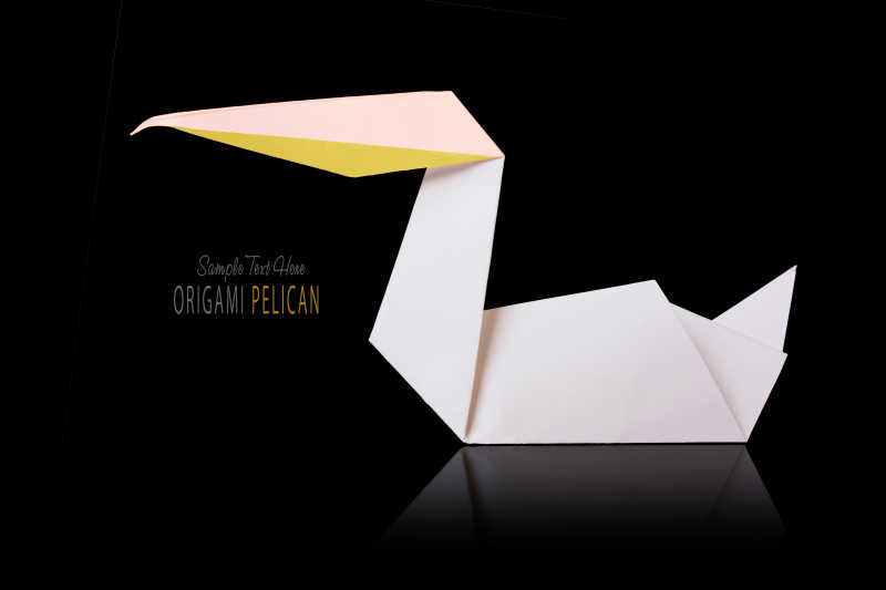 鹈鹕折纸造型