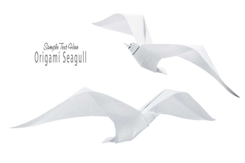 白色背景下白色海鸥折纸