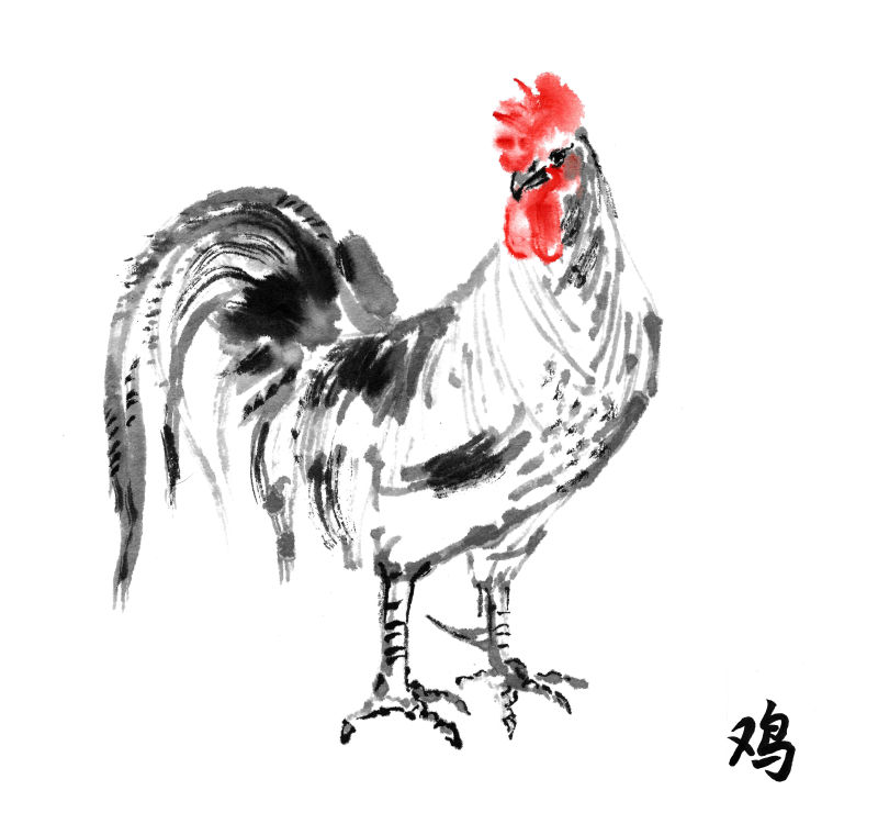 白色背景上的手绘公鸡