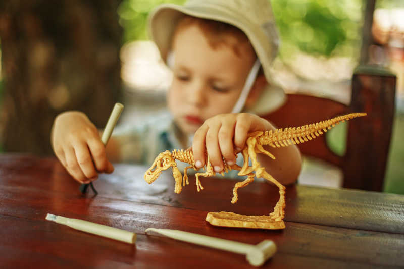 戴着考古帽玩恐龙骨的小男孩