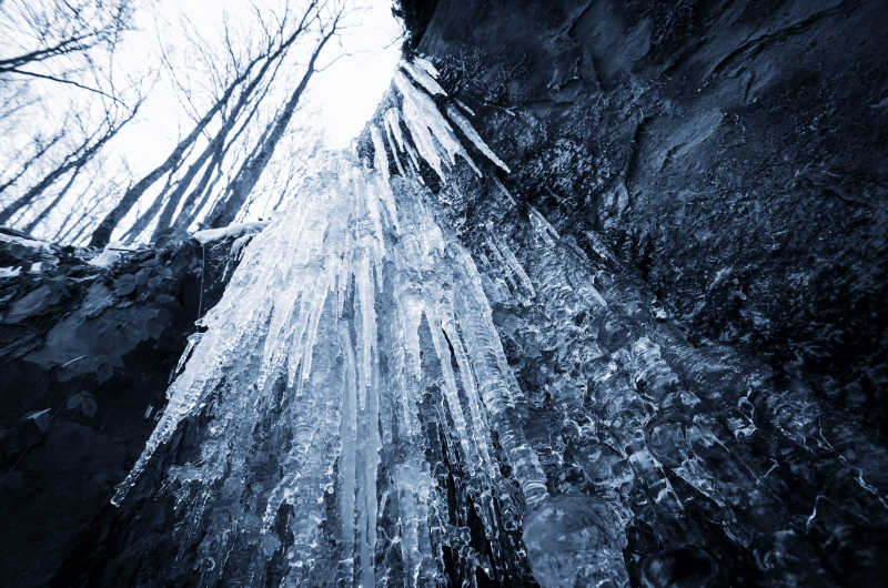 森里的美丽冰柱