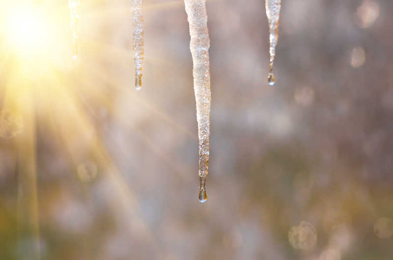 清晨阳光下的美丽冰柱