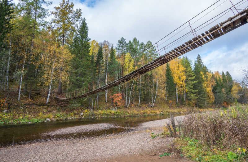 森林河上的木制悬索桥