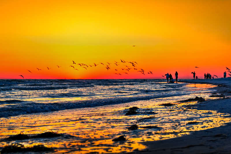 日落时海边的风景和游玩的旅客