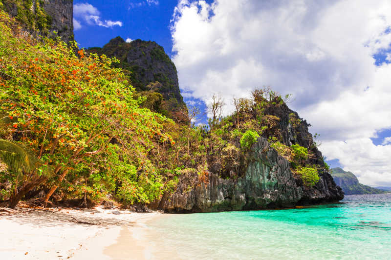 独特的自然和美丽的海滩菲律宾