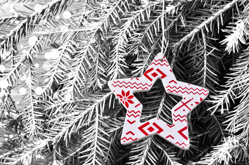 杉木树枝上的圣诞树装饰