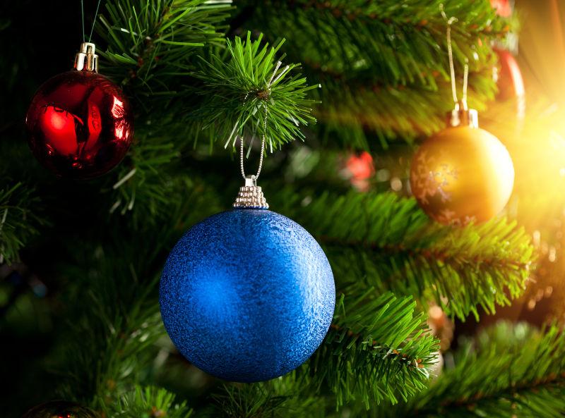 阳光下的圣诞树上的蓝色球状装饰物