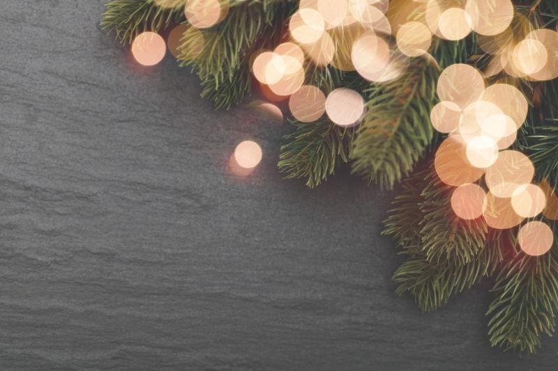 圣诞枞树枝和灯