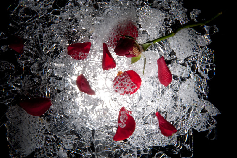破碎的玫瑰花与冰块
