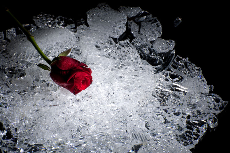冰块与玫瑰花