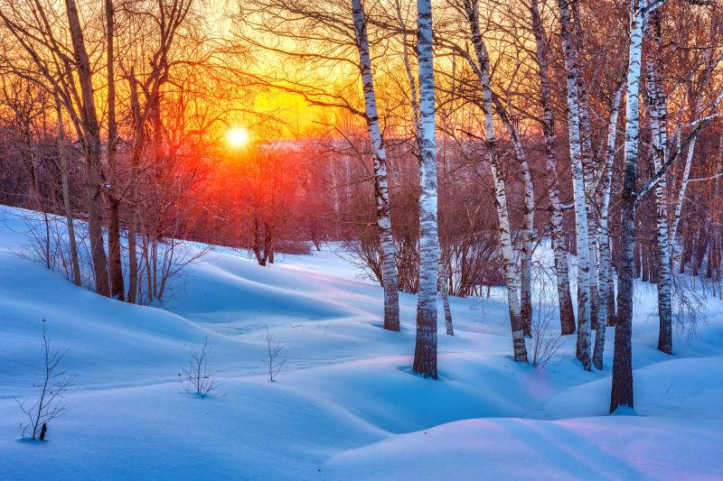 冬季白雪森林中的多彩落日