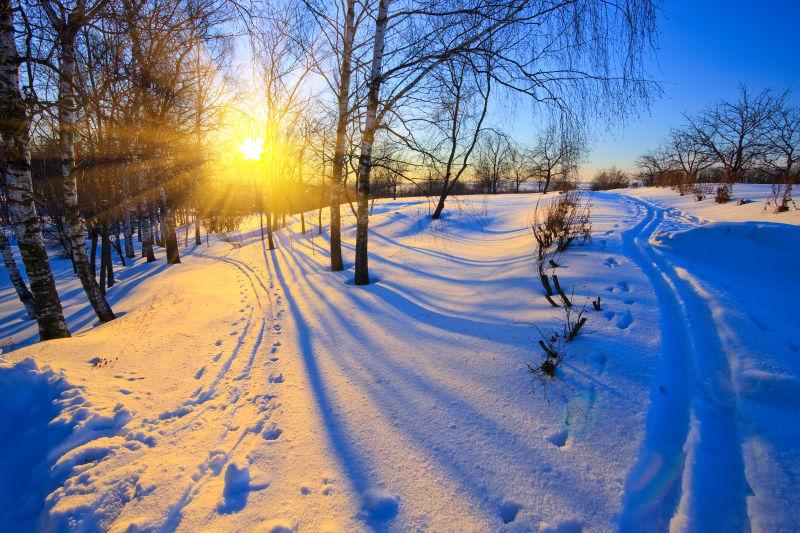 日落下美丽的雪景公园