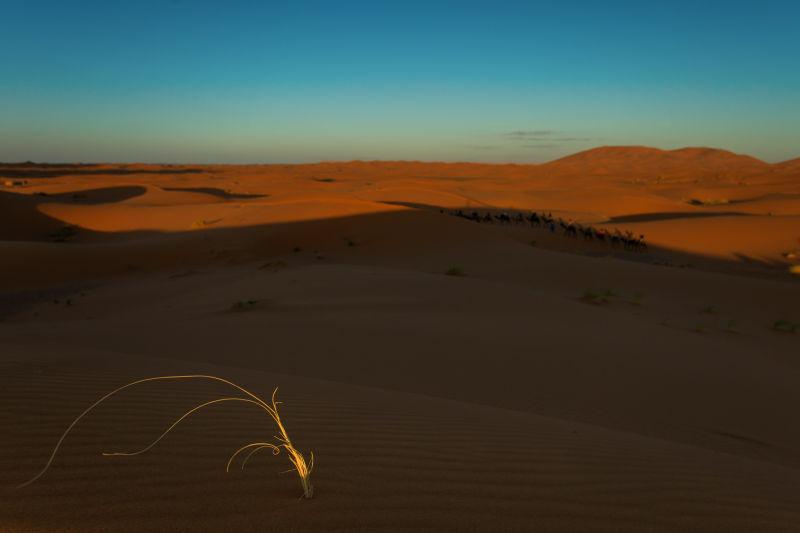 摩洛哥沙漠景观蓝天