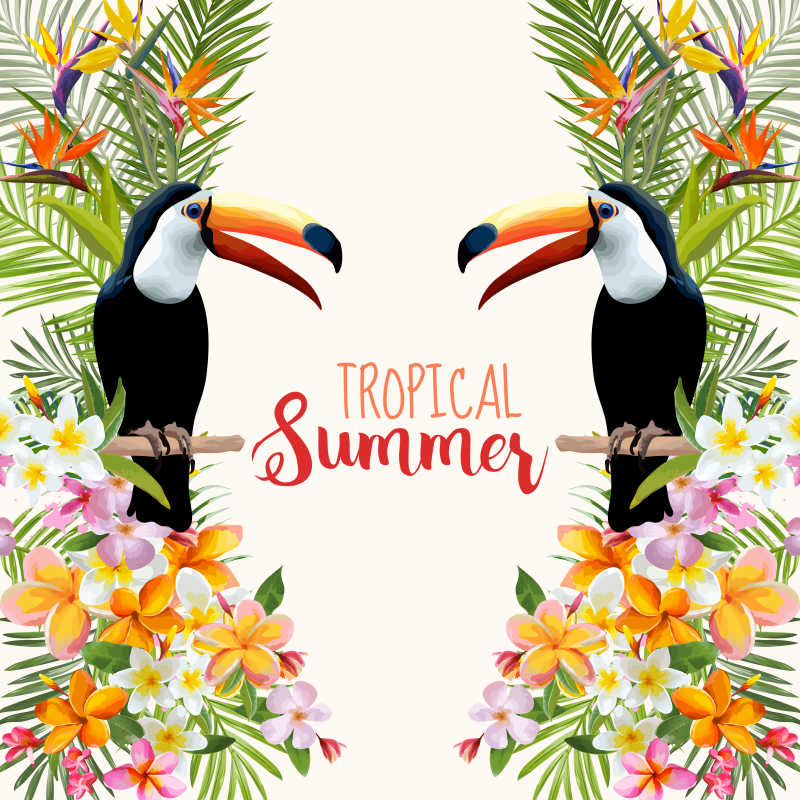 热带巨嘴鸟和花朵对称矢量插图背景