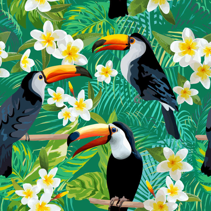 热带巨嘴鸟的矢量图案设计背景