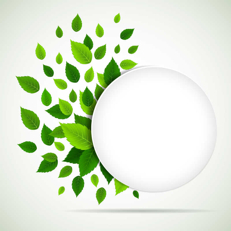 自然绿叶有白圆框的矢量春季背景