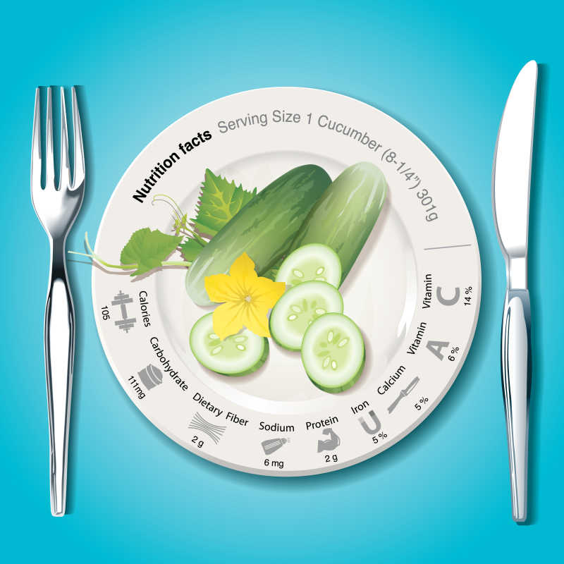 带图标的白板上黄瓜营养物质的矢量插图