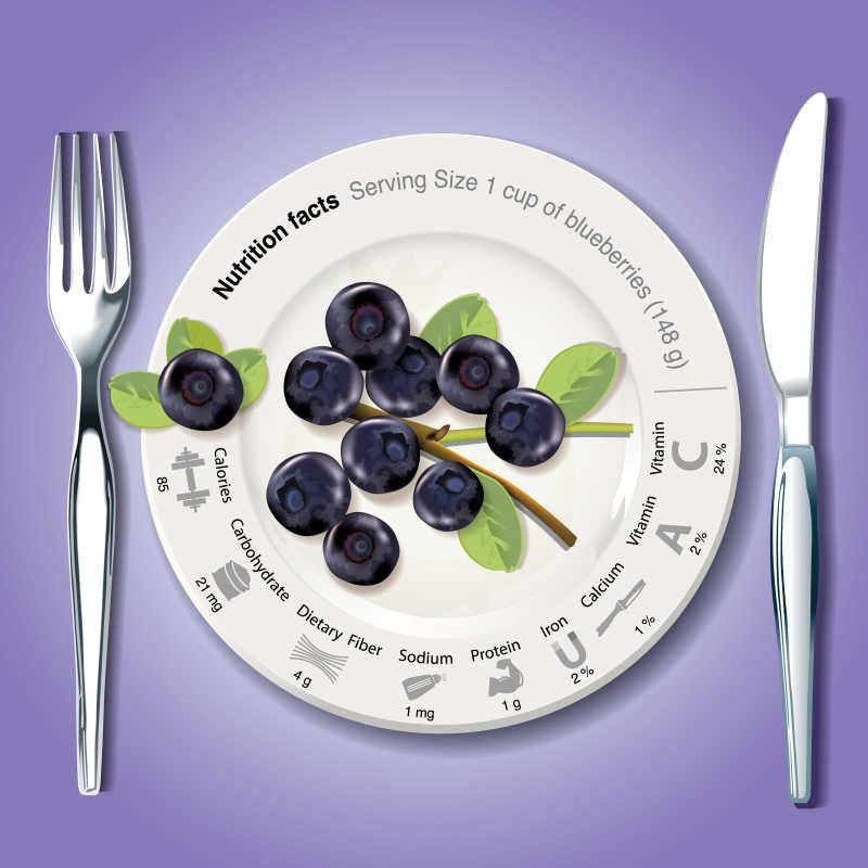 矢量蓝莓营养成分的插图