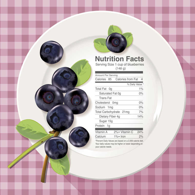 蓝莓营养成分的矢量插图