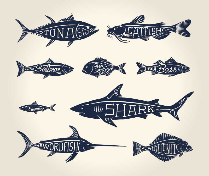 海洋鱼类标签设计元素矢量插画